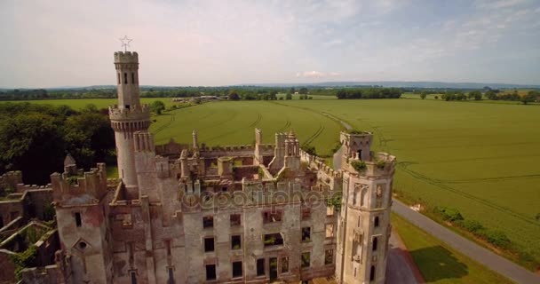 Aerial, Ducketts Grove And Gardens, County Carlow, Irlande — Video