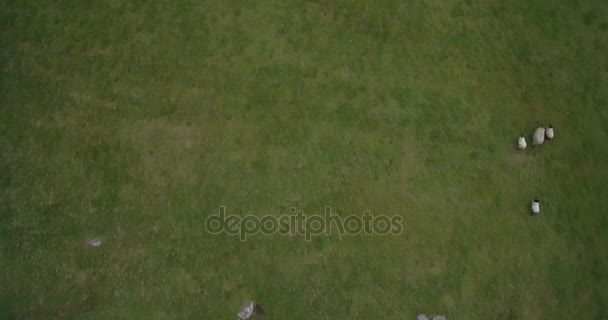 Εναέρια γύρω Croagh Patrick, κομητεία του Mayo, Ιρλανδία - εγγενή έκδοση — Αρχείο Βίντεο