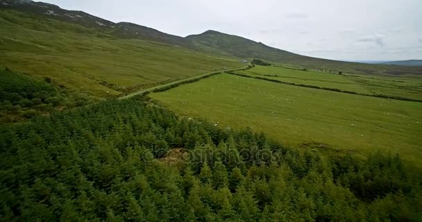 空中クロー パトリック山、郡メイヨー、アイルランド周辺 — ストック動画