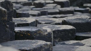 Dev Causeway bazalt sütunlar, Kuzey İrlanda - kademeli sürüm