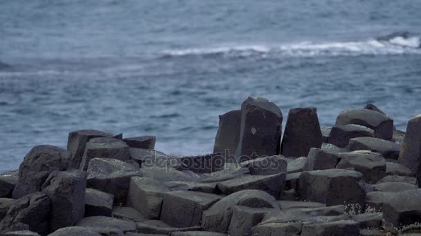 Pedras de basalto em Giant Causeway, Irlanda do Norte Versão graduada, 200fps Reas SlowMo — Vídeo de Stock