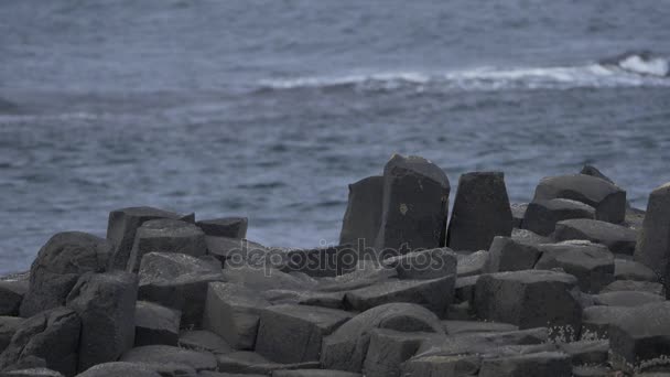 Pietre di basalto a Giant Causeway, Irlanda del Nord - Versione nativa, 200fps Reas SlowMo — Video Stock