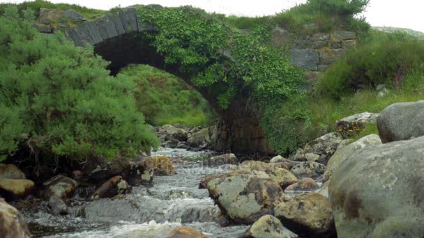 Zehir Glen Köprüsü, Devlin nehir, County Donegal, İrlanda - yerli versiyonu, gerçek 200fps Slowmo — Stok video