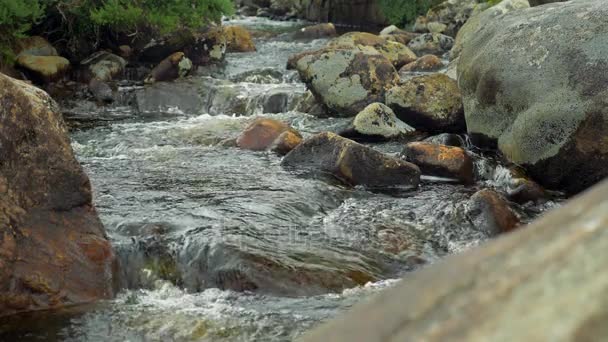 Stream på Poison Glen Bridge, Devlin River, County Donegal, Irland - ursprunglig Version, riktiga 200fps Slowmo — Stockvideo