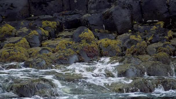 Вода, брызгающая на базальтовые камни, Гигантская коса, Северная Ирландия - 200fps Real Slowmo - Graded — стоковое видео