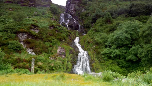 Assaranca wasserfall, county donegal, irland - native version — Stockvideo