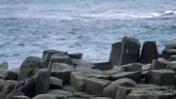 Камни из базальта на гигантском каучуке в Северной Ирландии - градиент — стоковое видео