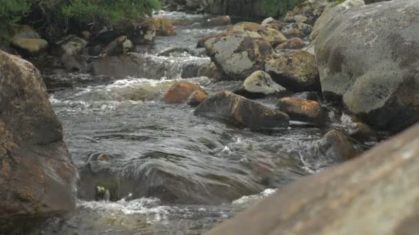 Bach bei Poison Glen Bridge, Devlin River, County Donegal, Irland - einheimische Version — Stockvideo