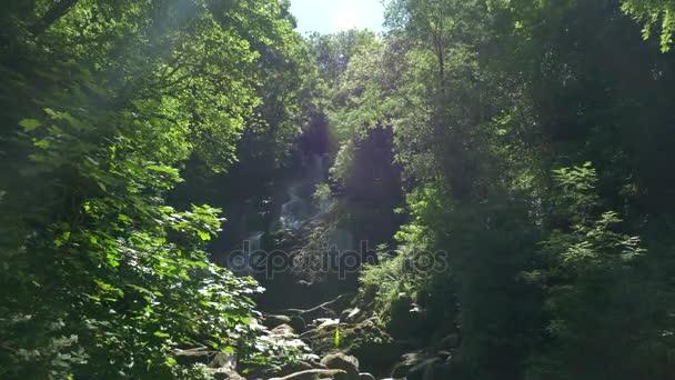 Torc Waterfall, Paese Kerry, Irlanda - Versione nativa — Video Stock