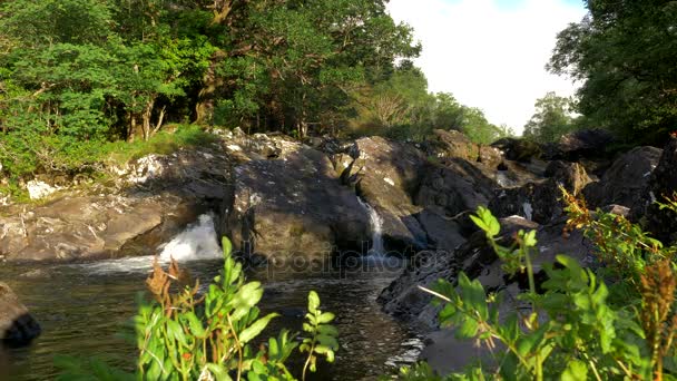 Wasserfall, schwarzes Tal, country kerry, irland - abgestufte Version — Stockvideo