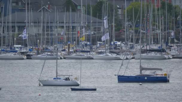 Kinsale Harbor, County Cork, Ierland - Native versie — Stockvideo