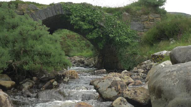 Poison Glen Bridge, Devlin River, County Donegal, Irland - ursprunglig Version — Stockvideo