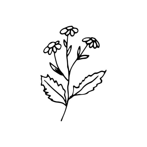 Cute single hand drawn floral elements. Doodle vector illustrati — Stock Illustration Cute single hand drawn floral elements. Doodle vector illustrati Stock Illustration