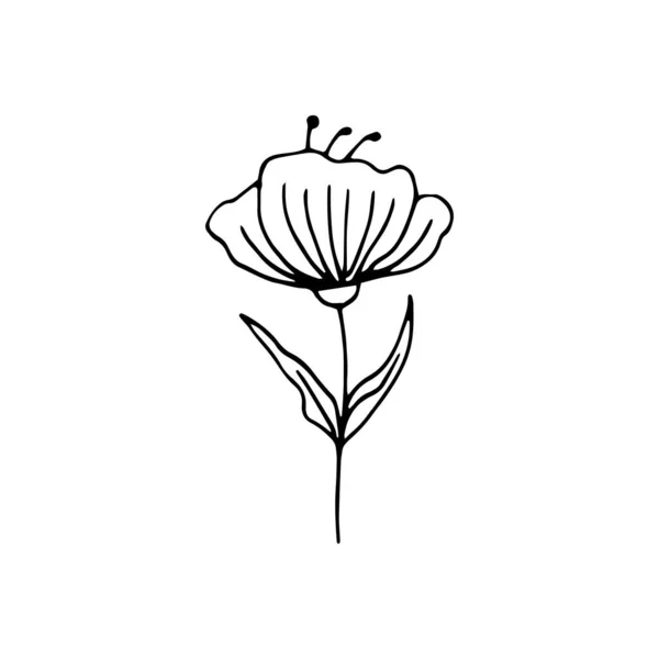 Cute single hand drawn floral elements. Doodle vector illustrati — Stock Illustration Cute single hand drawn floral elements. Doodle vector illustrati Royalty Free Stock Vectors