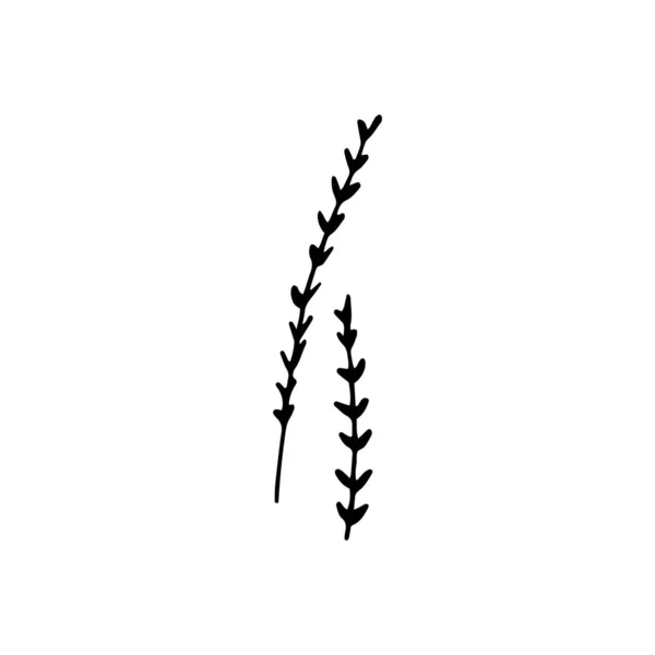 Cute single hand drawn floral elements. Doodle vector illustrati — Stock Illustration Cute single hand drawn floral elements. Doodle vector illustrati Stock Illustration