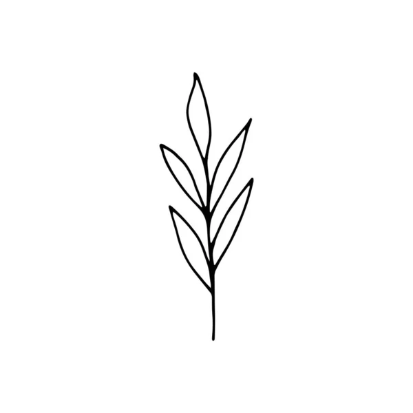 Cute single hand drawn floral elements. Doodle vector illustrati — Stock Illustration Cute single hand drawn floral elements. Doodle vector illustrati Stock Illustration