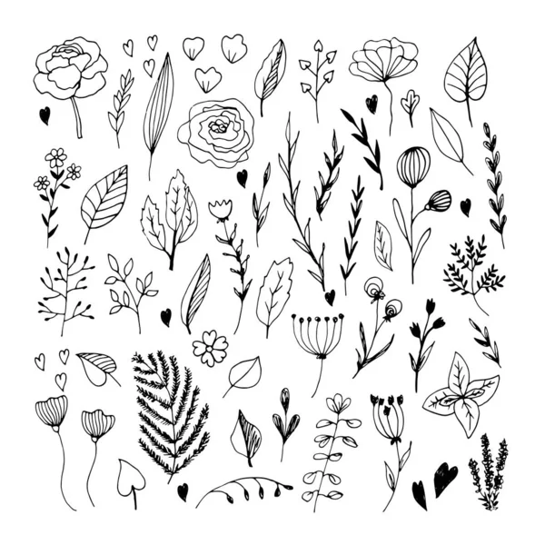 Cute hand drawn set of graphic floral and herbal elements. Doodl — Stock Illustration Cute hand drawn set of graphic floral and herbal elements. Doodl Stock Vector