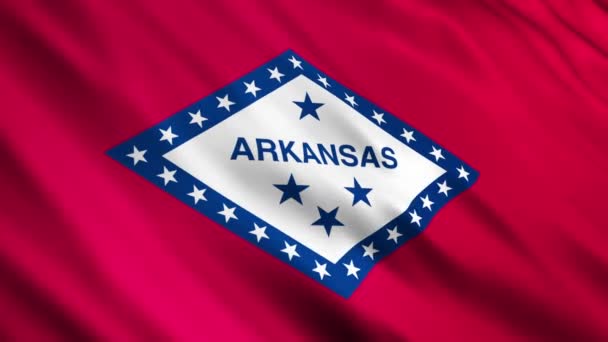 Vlag van Arkansas — Stockvideo