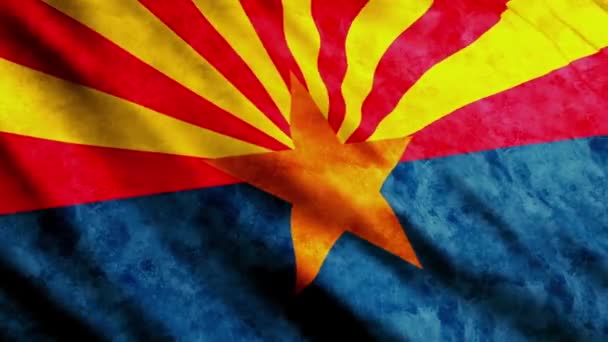 Arizona flag — Stock Video