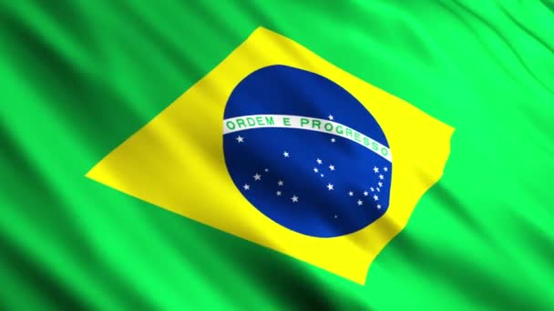 Brazilië vlaggen — Stockvideo