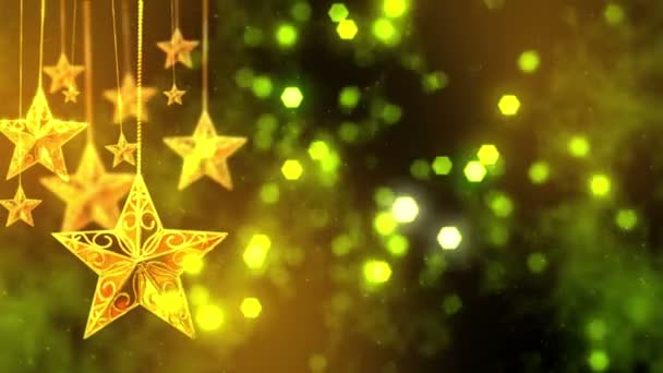 Decorazioni Stelle di Natale — Video Stock