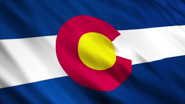 Colorado state flags — ストック動画