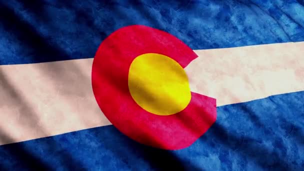 Colorado state flags — Stock Video