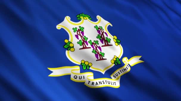 Bandiere dello Stato del Connecticut — Video Stock