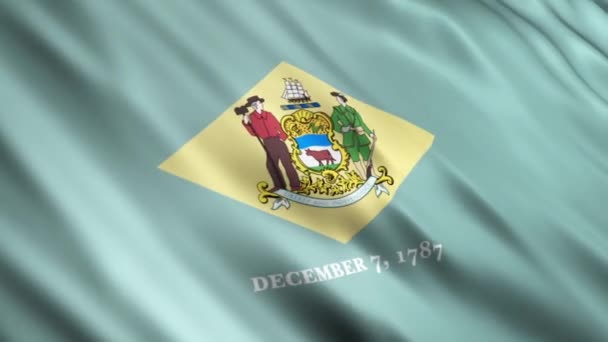 Flagi państwa Delaware — Wideo stockowe