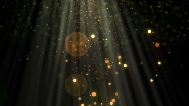 Superpositions vidéo essentielles 