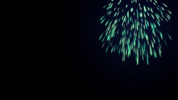 Fireworks celebration — Stock Video