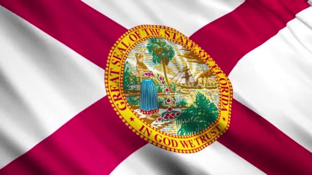 Florida Eyalet Bayrakları — Stok video