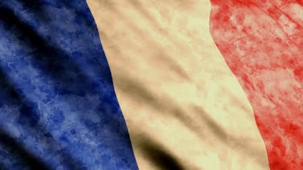 Frankrijk vlaggen — Stockvideo
