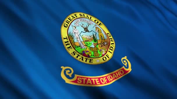 Vlag van Idaho — Stockvideo