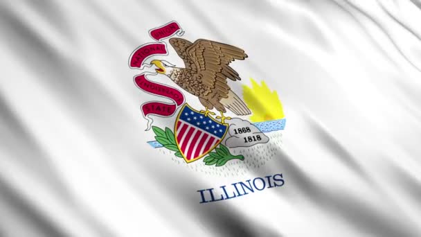 Illinois eyalet bayrağı — Stok video