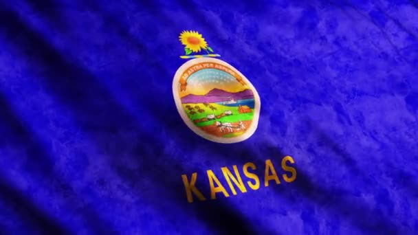 Kansas Eyalet bayrağı — Stok video