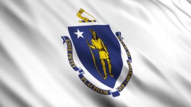 Massachusetts eyalet bayrağı