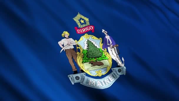 Maine State Flag — Stock Video