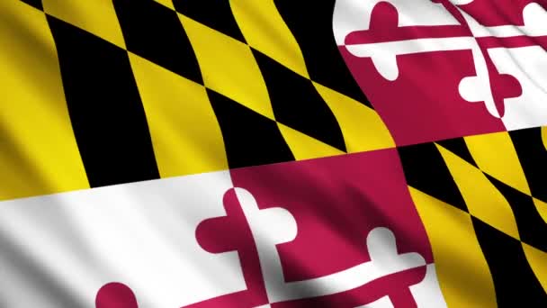 Vlajka státu Maryland — Stock video