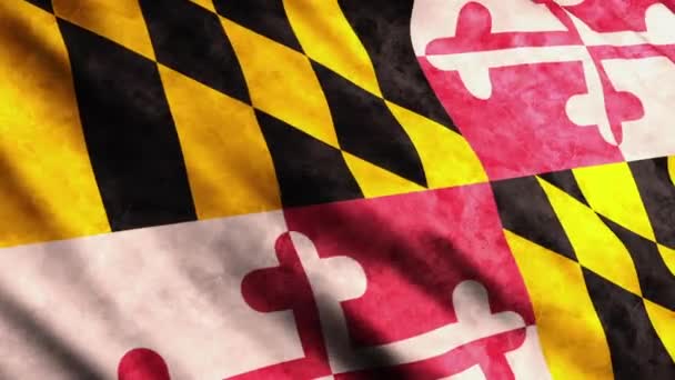 Drapeau de l'État du Maryland — Video