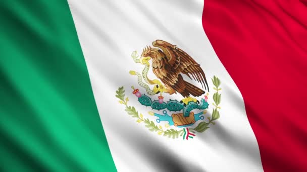 Mexiko flagga — Stockvideo