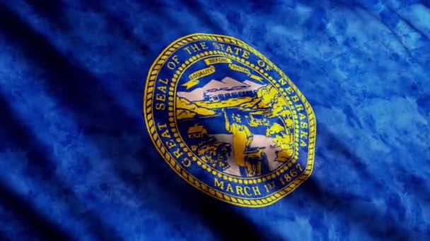 Bandeira do Estado do Nebraska — Vídeo de Stock