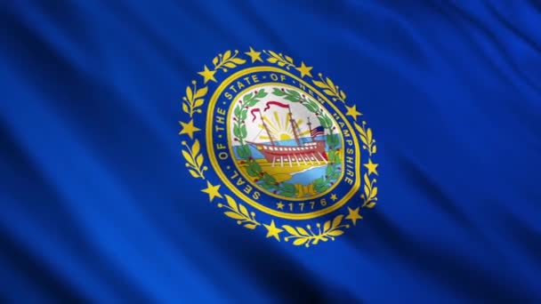 Bandera del Estado de New Hampshire — Vídeos de Stock