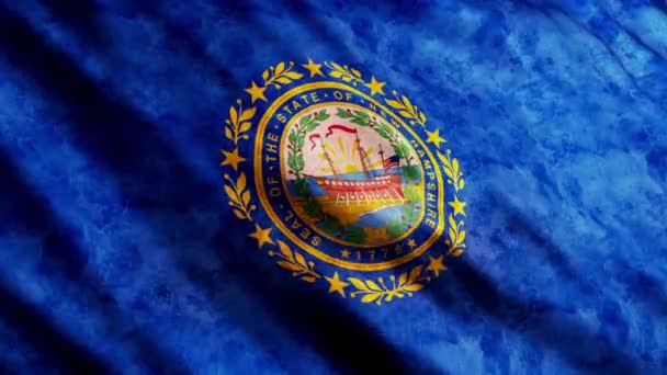 New Hampshire statsflag – Stock-video