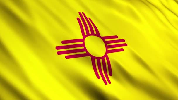 New Mexico State Flag — Stock Video