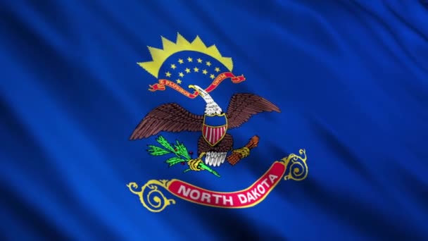 North dakota state flagga — Stockvideo