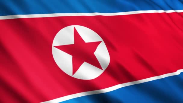 Nordkorea flagga — Stockvideo