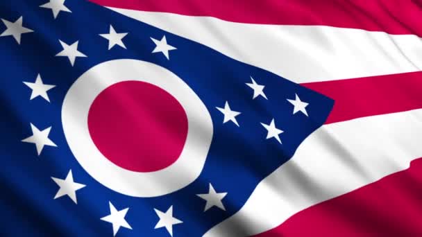 Ohio-Staatsflagge — Stockvideo