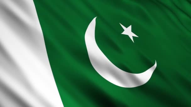 Флаг Пакистана — стоковое видео