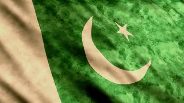 Bandera de Pakistán — Vídeos de Stock